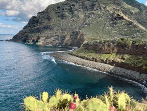 Vista de Playa de los Troches en Punta del Hidalgo, Tenerife
