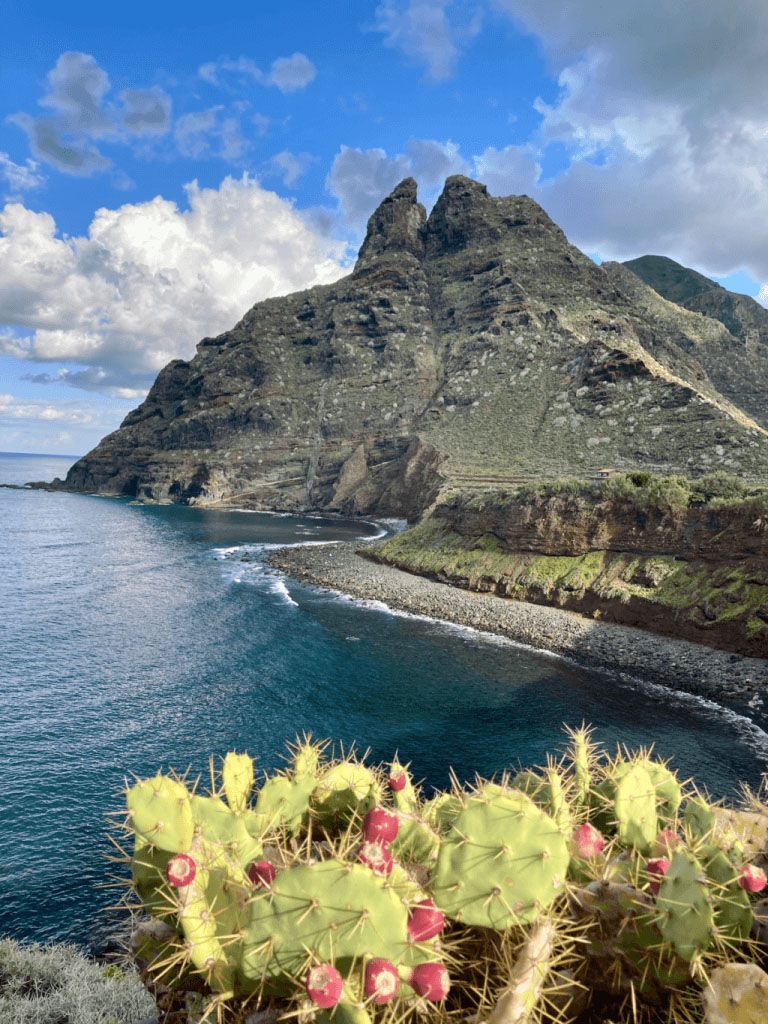 Playa de los Troches en Punta del Hidalgo