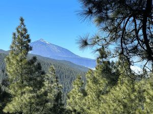 Vistas del Teide desde el Mirador de Ortuño
