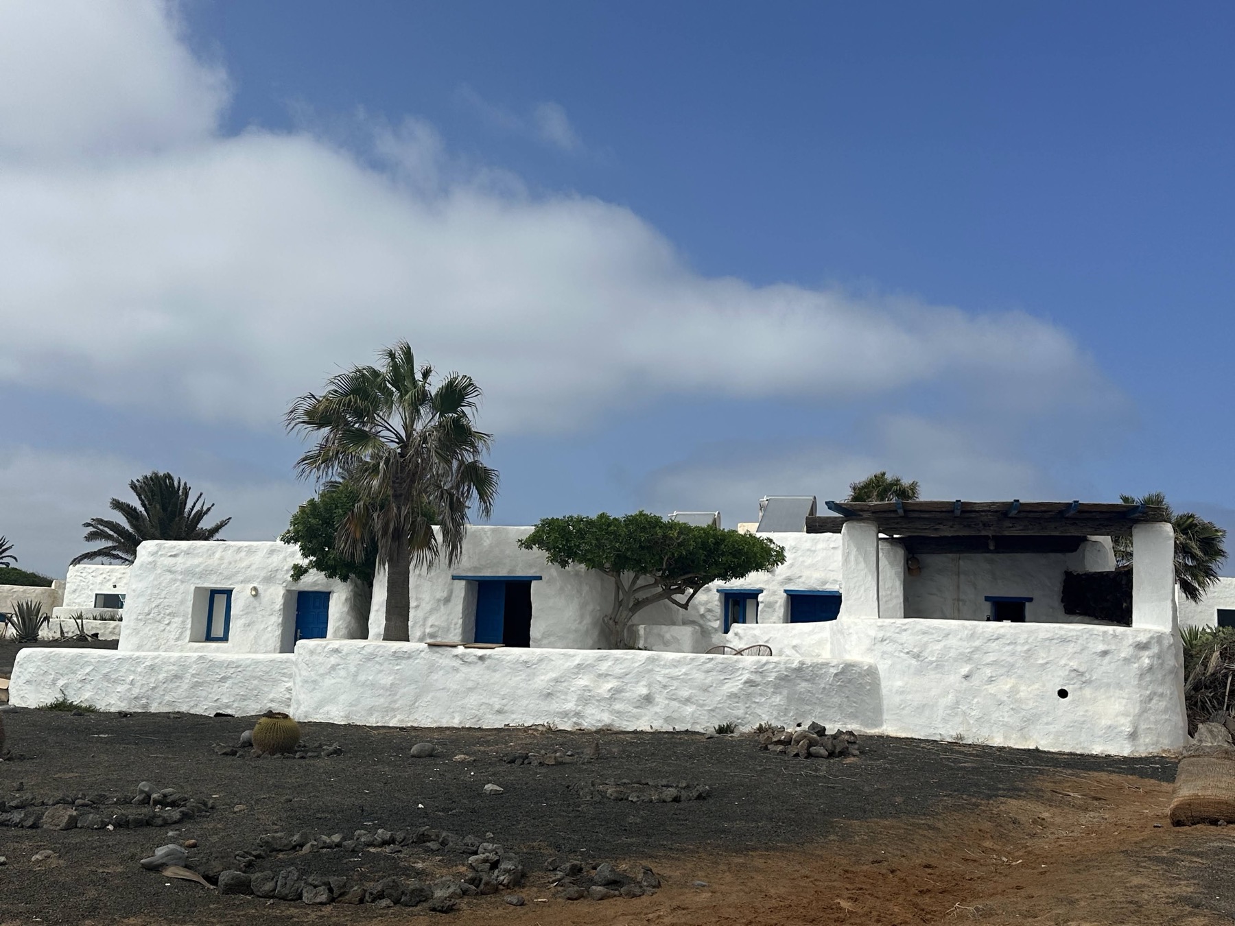 Casas de Pedro Barba con palmera y paisaje seco en La Graciosa